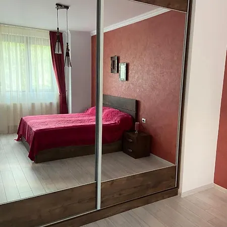 Solid Eva * Mamaia